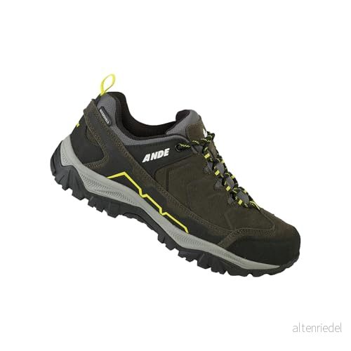 Ande Hiker Low WP, unisex vuxen vandringsskor, 45 EU, Brun, EU 8051203002492