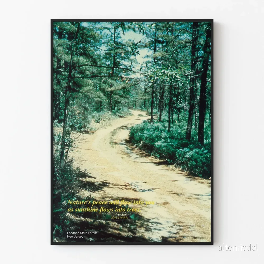 Natur och Harmoni - Lebanon State Forest, New Jersey