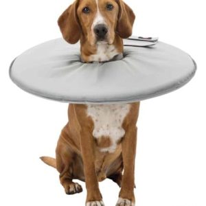 Trixie Protective collar polyester/foam L XL: 53 56 cm/27 cm grey 4047974194263 Trixie Protective collar polyester/foam L XL: 53 56 cm/27 cm grey 4047974194263