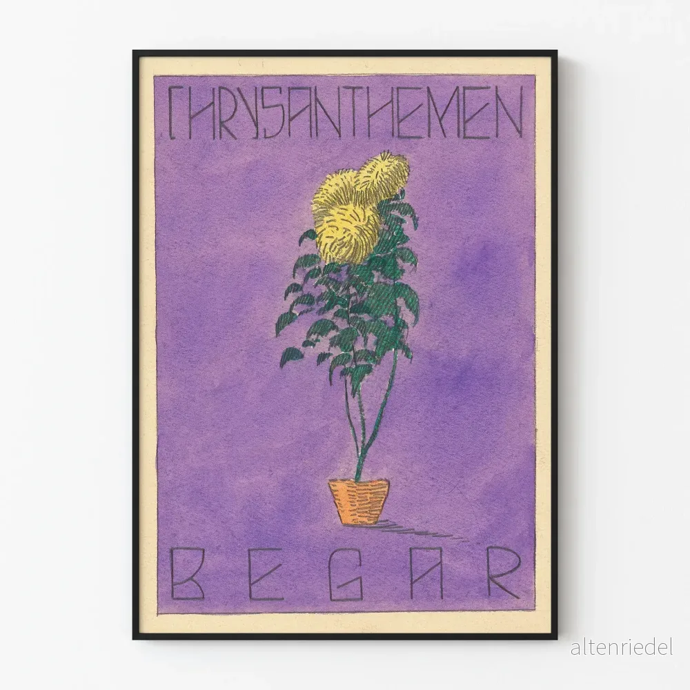 Vintage dekorativ poster med krukväxter av krysantemum Vintage dekorativ poster med krukväxter av krysantemum