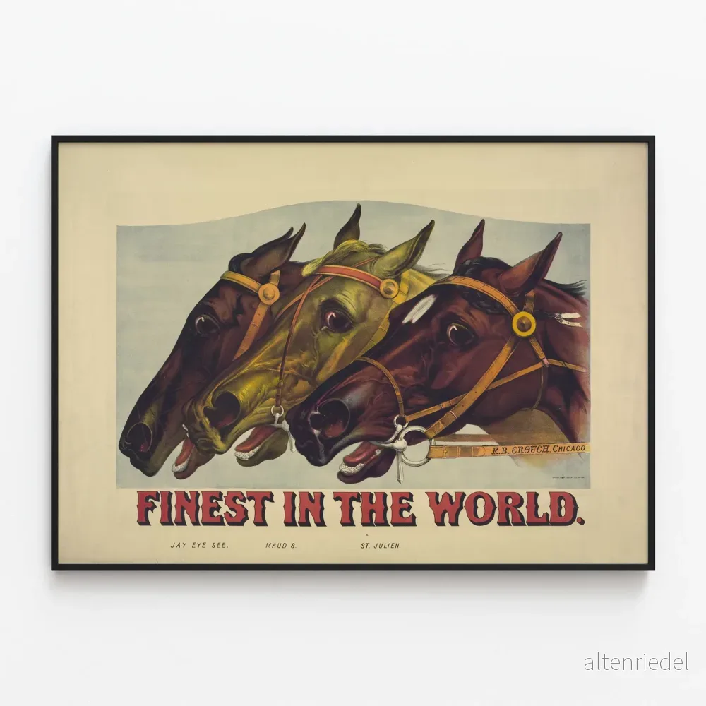 Fine Art-Poster för Ryttarhästar – Bäst i Världen Fine Art-Poster för Ryttarhästar – Bäst i Världen
