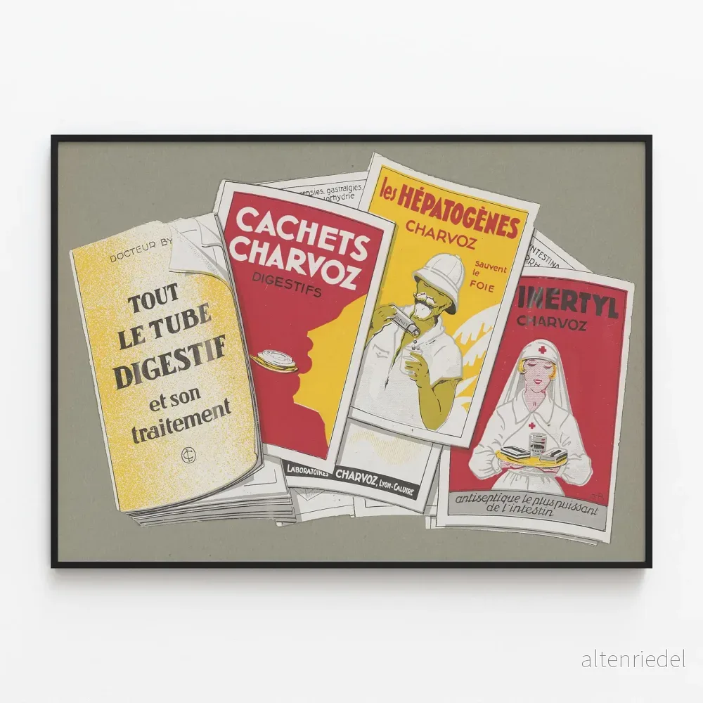 Vintageposter för Tube Digestif och Medicinska Behandlingar Charvoz Vintageposter för Tube Digestif och Medicinska Behandlingar Charvoz