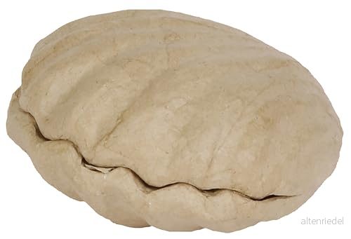 Décopatch BT078C Boîte coquillage à décorer en Papier mâché Brun Petite la forme Contenant DIY et Loisirs Créatifs 12x12x5,5 cm 3609510100780