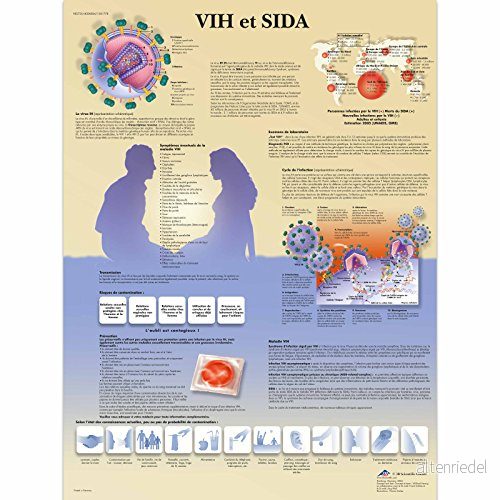 3B Scientific vetenskaplig Board, 1 4053083023295