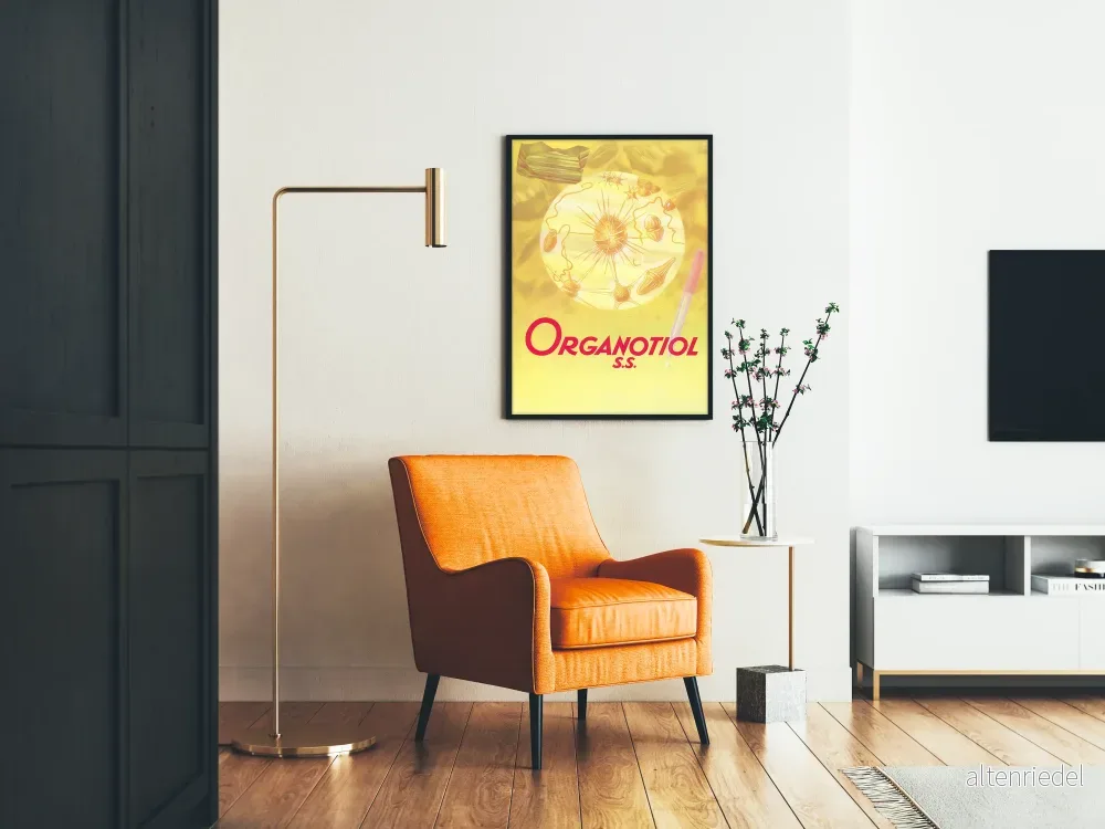 Vintageposter Organotiol S.S. vetenskaplig illustration - Bild 2