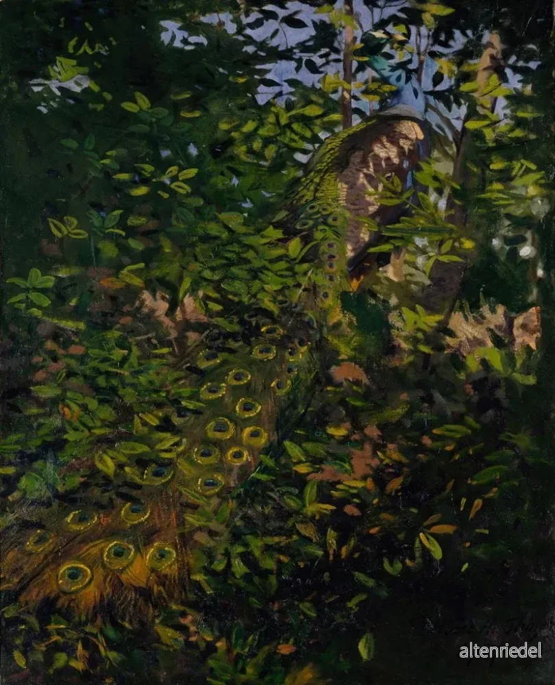 Målning Studie av påfågeln i skogen för boken Concealing Coloration in the Animal Kingdom - Abbott Handerson Thayer | Konsttryck - Bild 2