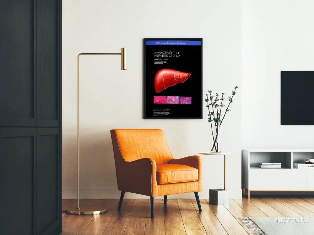 Vintage medicinsk affisch om hantering av hepatit C 2002 - Bild 2