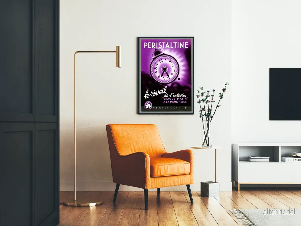 Vintageposter Péristaltine tarmväckning väggdekoration - Bild 2