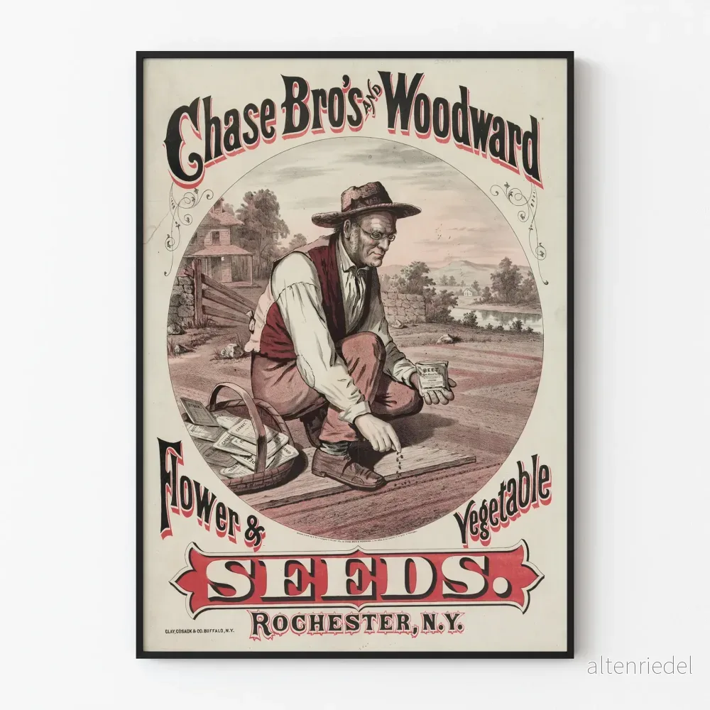 Vintageposter Chase Bros och Woodward Graines Fleurs et Légumes Vintageposter Chase Bros och Woodward Graines Fleurs et Légumes
