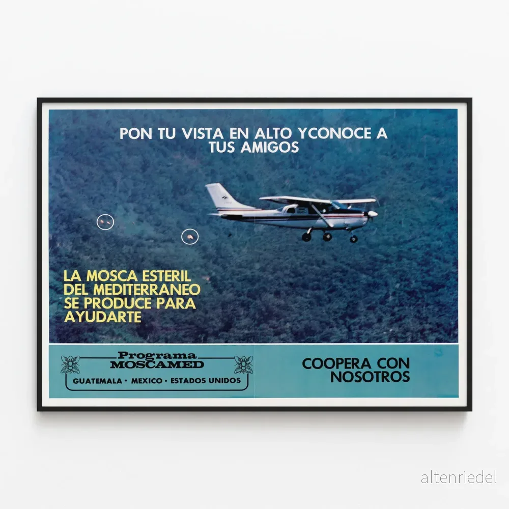 Vintageposter Program Moscamed Guatemala Mexiko Förenta staterna
