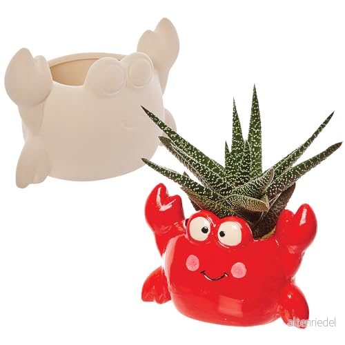 Baker Ross FX743 blomkrukor av krabba i keramik 2 pack, keramikmålning för barn, barn 5063067006564