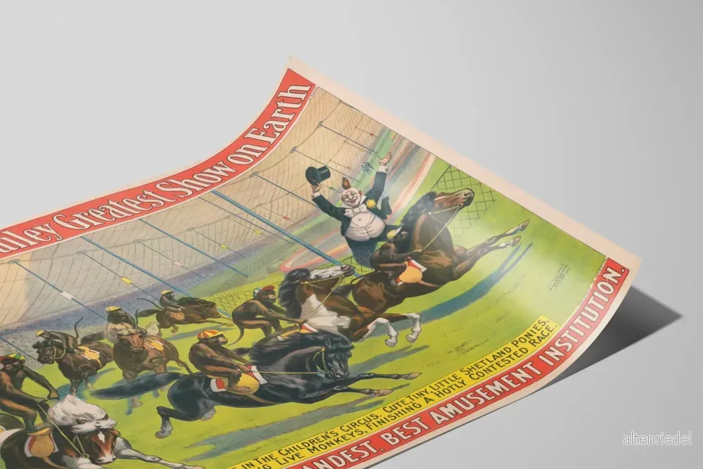 Vintageposter Barnum & Bailey - Applopp på Shetlandponnyer - Bild 2