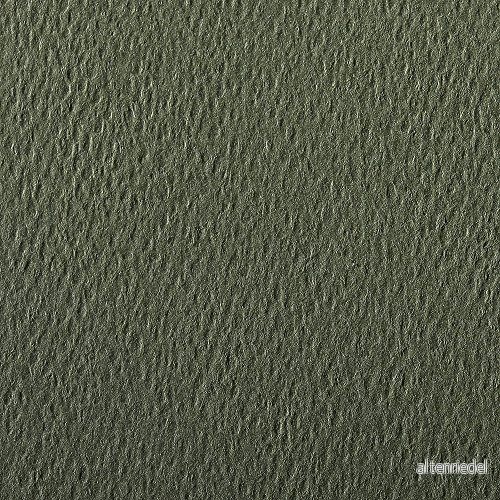 Clairefontaine 90886C förpackning (med 5 ark ritpapper Etival Color, DIN A4, 21 x 29,7 cm, 160 g, kornig, perfekt för torrteknik och ram) vattengrön 3329680908862