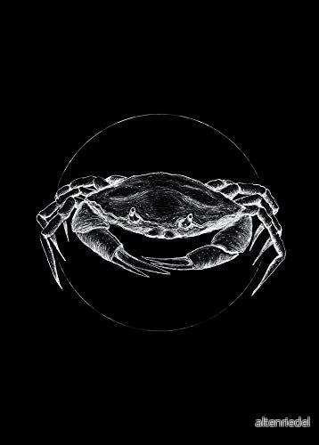 Crab Black storlek: 50 x 70 cm komar, väggmålning, affisch, konsttryck (utan ram), PURE butik 4055065172441