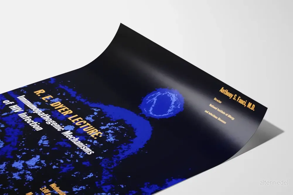 Vetenskaplig poster om de immunopatogena mekanismerna vid HIV-infektion - Bild 3