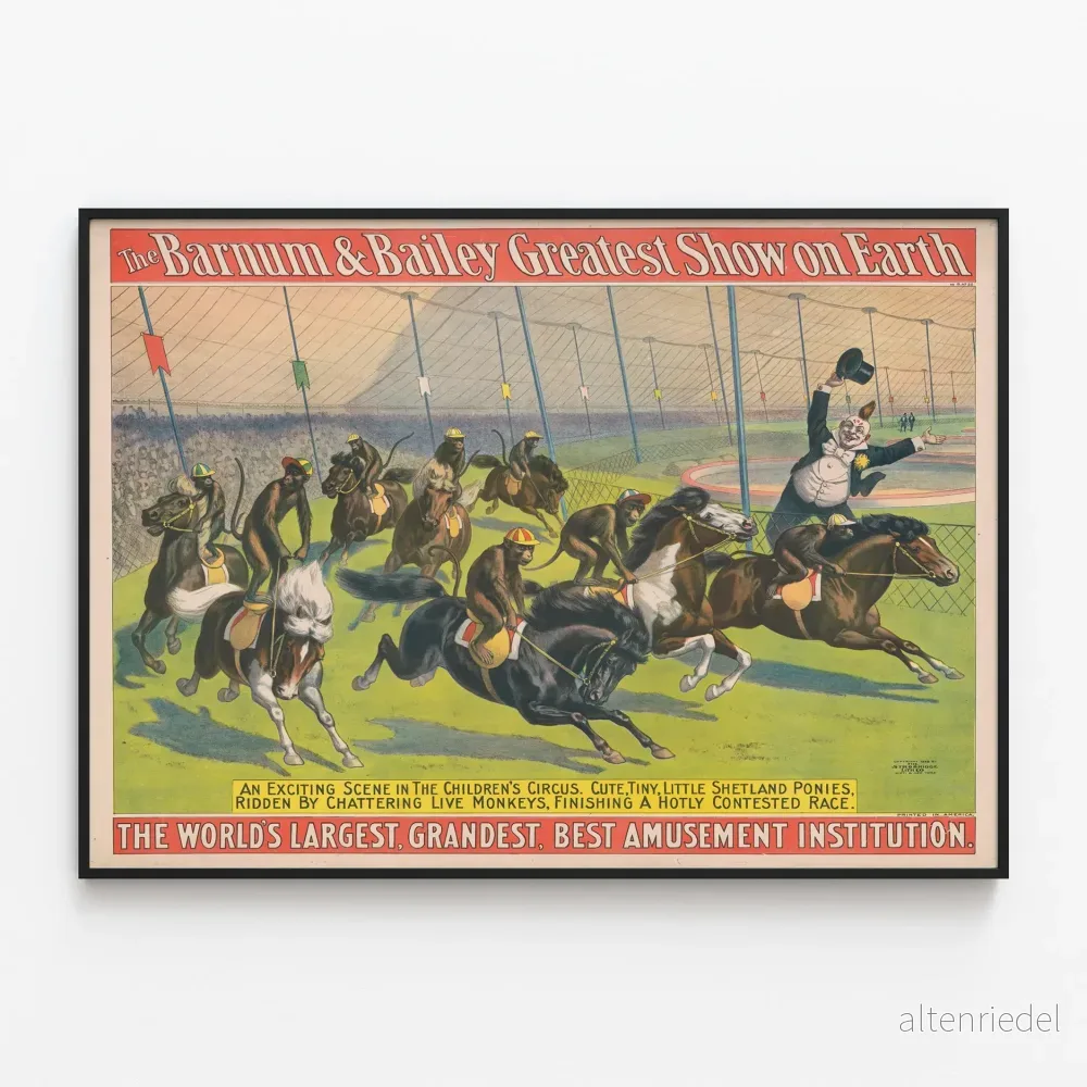 Vintageposter Barnum & Bailey - Applopp på Shetlandponnyer