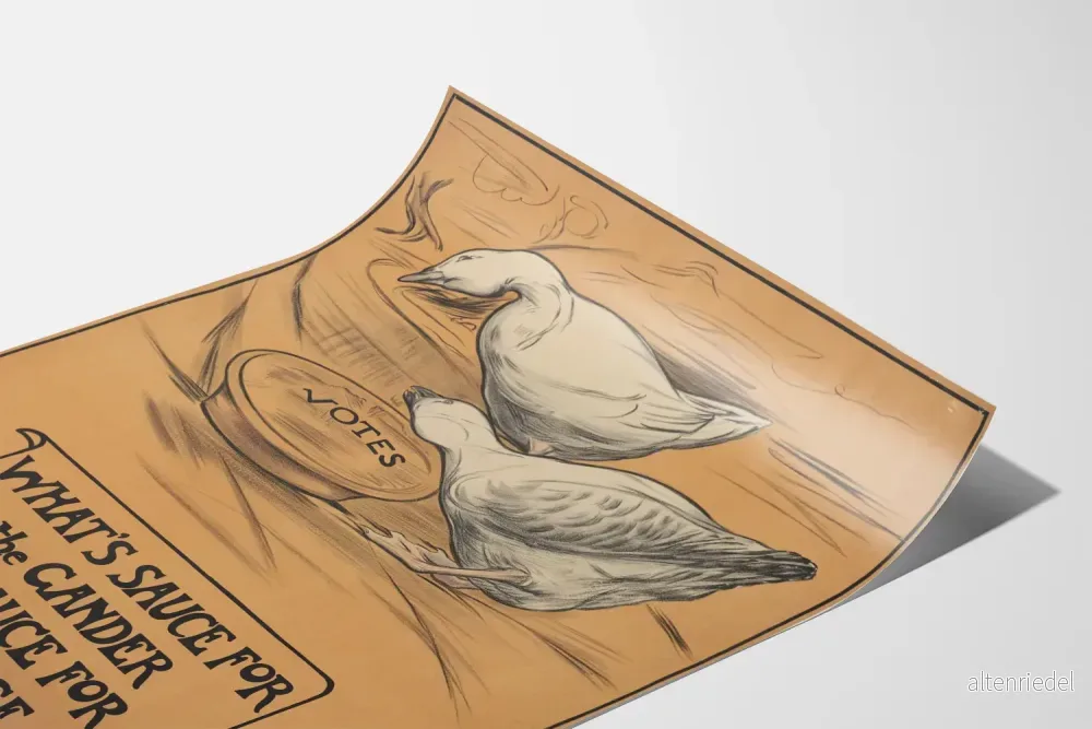 Vintage poster för dekoration « What's Sauce for the Gander is Sauce for the Goose » - Bild 3
