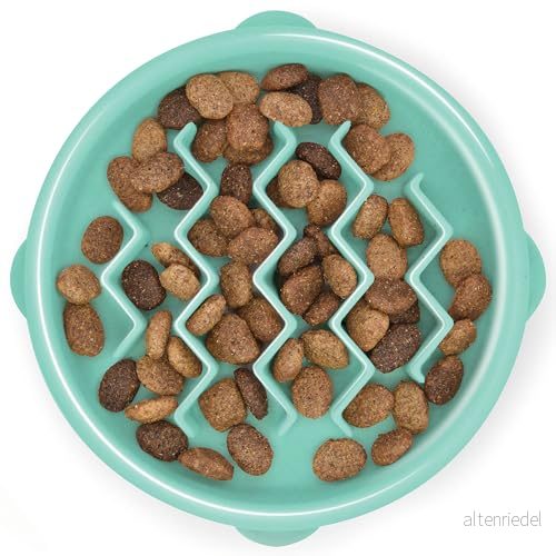 Outward Hound Fun Feeder Slo Bowl Hundmatskål långsam utfodring mintgrön liten/pytteliten 700603678292