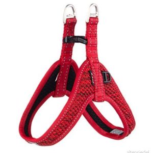 ROGZ SJQ41.C Fast Fit porslin, S, röd 649510046520 ROGZ SJQ41.C Fast Fit porslin, S, röd 649510046520