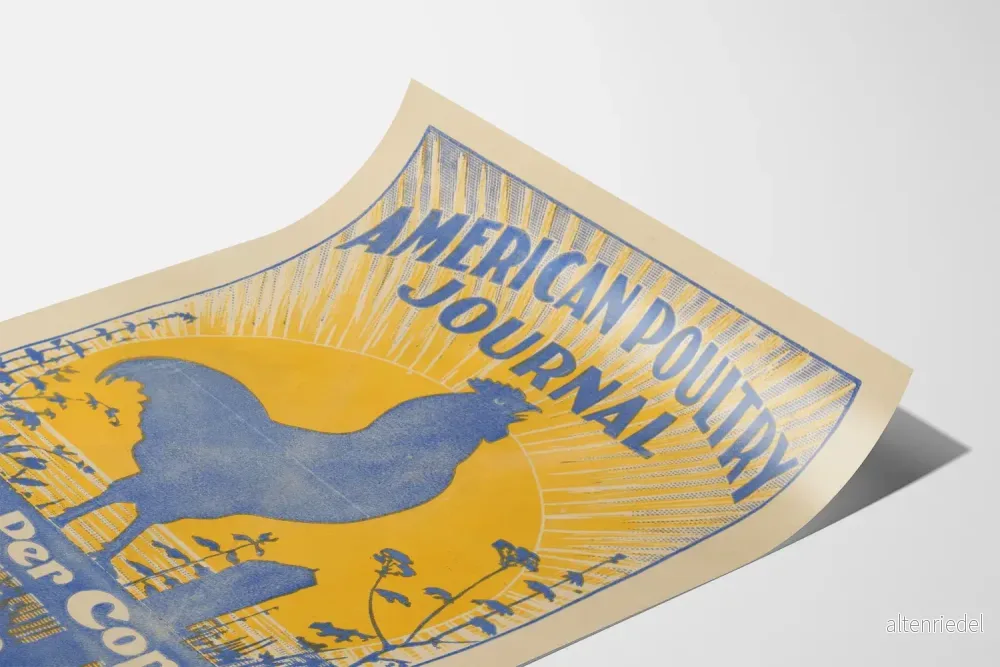 Vintage amerikansk Poultry Journal-Poster med tupp vid soluppgången - Bild 3