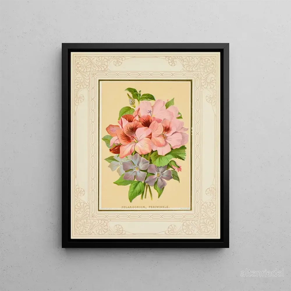 Målning Pélargonium, periwinkle – Marcus Ward & Co. | Konsttryck Målning Pélargonium, periwinkle – Marcus Ward & Co. | Konsttryck