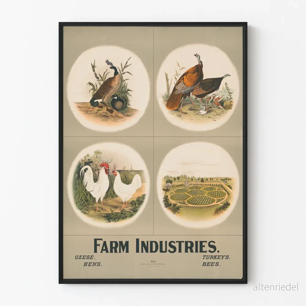 Dekorativ vintageindustriposter - Gäss, Höns, Kalkoner och Bin