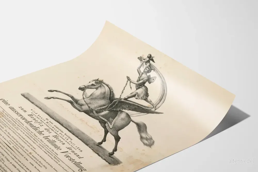 Vintage flygbild av hästillustration - väggdekoration - Bild 3